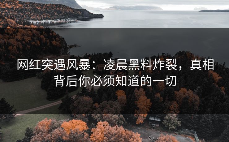 网红突遇风暴：凌晨黑料炸裂，真相背后你必须知道的一切