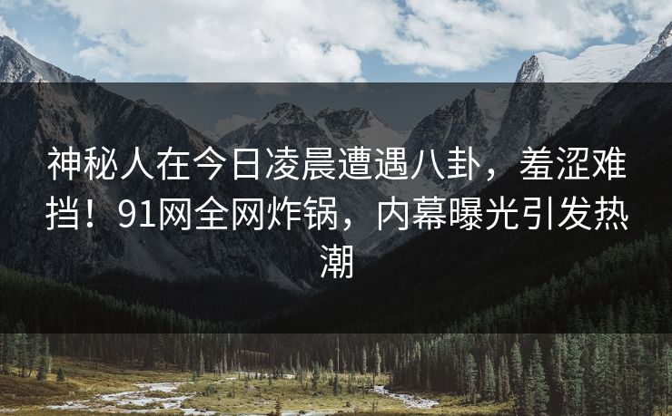 神秘人在今日凌晨遭遇八卦，羞涩难挡！91网全网炸锅，内幕曝光引发热潮