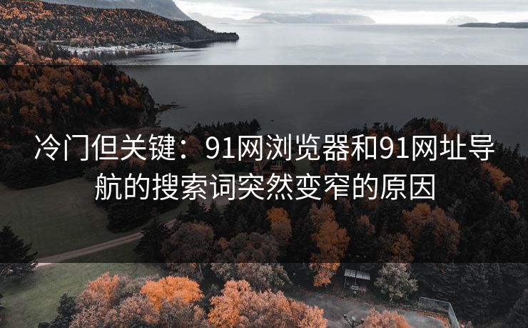冷门但关键:91网浏览器和91网址导航的搜索词突然变窄的原因